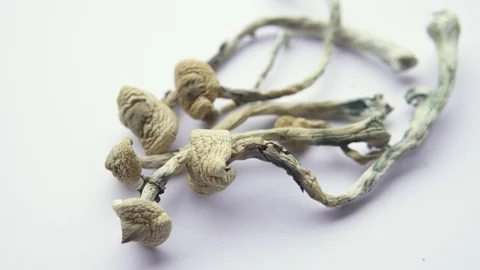 Buy psychedelics online UK