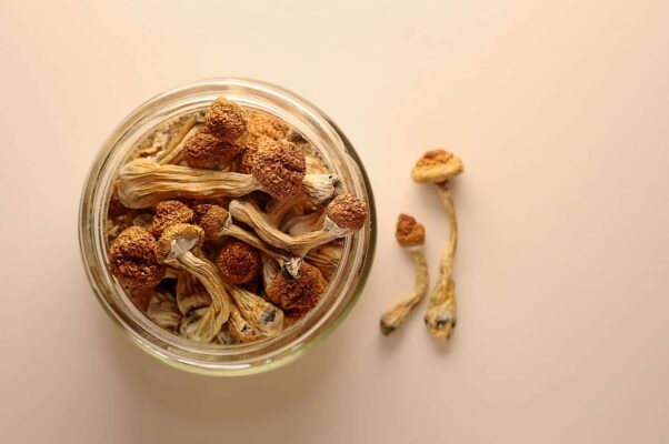Buy psychedelics online UK